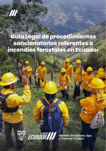 GUIA LEGAL DE PROCEDIMIENTOS SANCIONATORIOS DE INCENDIOS FORESTALES