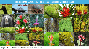 metodos de toma de datos para evaluacion de impacto ambiental