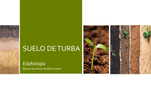 Suelo de Turba: Edafología y Características