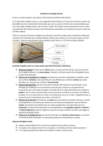 ANATOMÍA Y FISIOLOGÍA DEL OJO