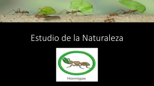 estudio-de-la-naturaleza compress