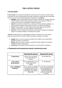 TEMA 2- MITOSIS Y MEIOSIS