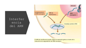 Interferencia de ARN