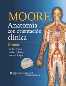 MOORE ANATOMIA CLINICA 