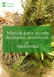 Manual de Secado de Plantas Aromáticas y Medicinales