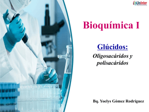 Glúcidos: Oligosacáridos y Polisacáridos - Bioquímica