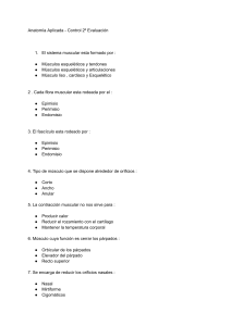 Documento sin título (1)