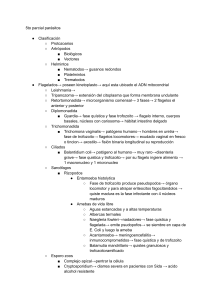 5to parcial parásitos