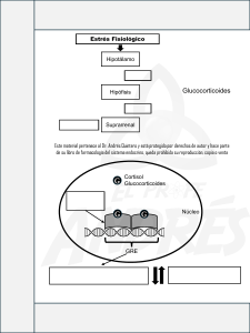 Estrés Fisiológico y Glucocorticoides: Presentación Endocrina