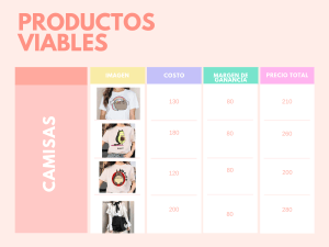 Clothing Pricing Table: Shirts, Skirts, Pants