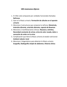 100 mexicanos dijeron: Sistema urinario