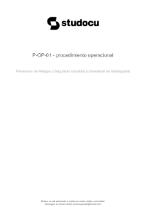 Procedimiento Operacional: Despeje y Limpieza de Faja en Parque