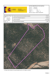 Informe SIGPAC: Parcela en Alcadozo, Albacete