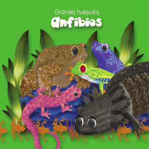 Anfibios: Un Mundo por Descubrir - Libro Educativo