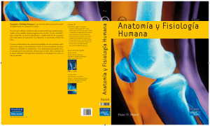 Anatomía y Fisiología Humana: Libro de Texto Universitario