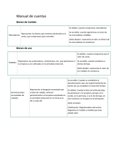 Manual de Cuentas: Bienes de Cambio y Uso