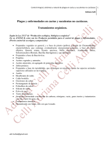 Control de Plagas en Cactus y Suculentas: Guía Orgánica