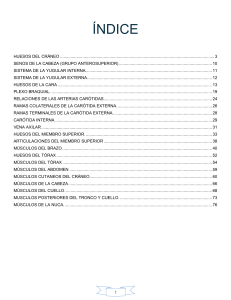 Anatomía Humana: Índice de Contenido Detallado