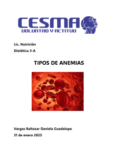 Tipos de Anemia: Causas, Nutrientes y Alimentos Recomendados