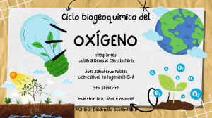 Oxygen Cycle: Sustainable Development Presentation