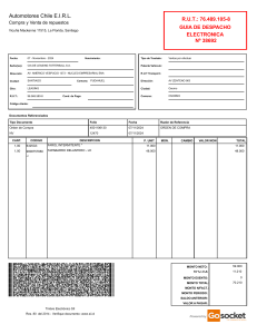 Guía de Despacho Electrónica Automotores Chile