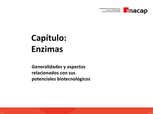 Enzimas: Generalidades y Aspectos Biotecnológicos