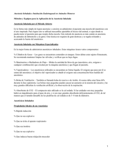 Aplicación de la anestesia inhalada en los animales menores