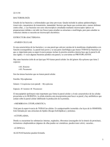 22/11/01 BACTERIOLOGÍA Estudio de las bacterias y enfermedades que éstas provocan. Queda...