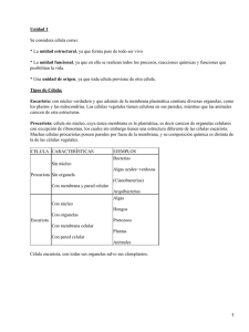 Unidad 1 Tipos de Célula: Eucariota: Se considera célula como: