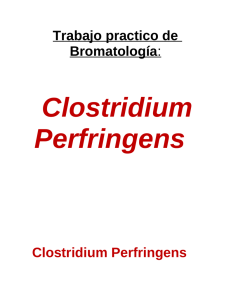 Clostridium Perfringens Trabajo practico de Bromatología