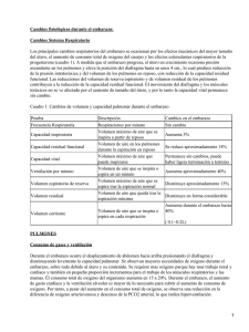 Cambios fisiológicos durante el embarazo en el sistema circulatorio