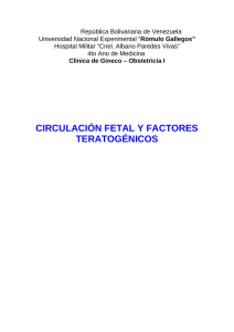 Circulación fetal y factores teratogénicos