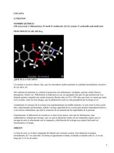 COCAINA C17H21NO4 NOMBRE QUÍMICO: [1R−(exo,exo)]−3−(Benzoyloxy)−8−metil−8−azabicyclo−[3.2.1]−octane−2−carboxilic acid metil ester