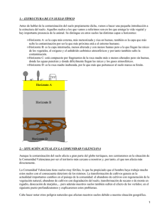 1.− ESTRUCTURA DE UN SUELO TÍPICO