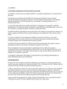 Derecho costitucional. La Corona