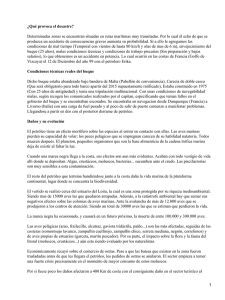 Desastre del Erika: Causas, Consecuencias y Prevenci&oacute;n