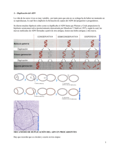 Duplicación de ADN (Ácido Desoxirribonucleico)
