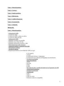 Tema 1. Material genético. Tema 2. Vectores. Tema 3. Sondas genéticas.