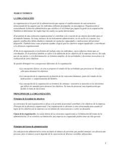 MARCO TE&Oacute;RICO LA ORGANIZACI&Oacute;N