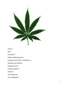 Marihuana (Cannabis)