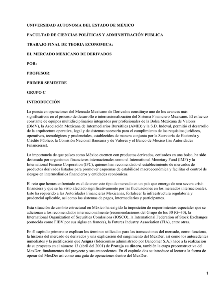 Mercado Mexicano De Derivados