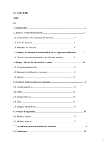 EL MERCURIO .Indice 1. Introducción 2. Aspectos teóricos del mercurio................................................................................. 4