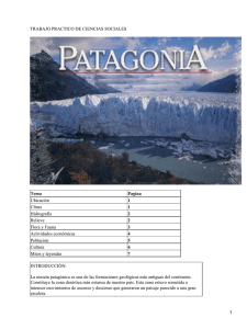 Meseta Patagónica Argentina