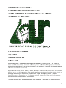 UNIVERSIDAD RURAL DE GUATEMALA FACULTAD DE CIENCIAS ECONOMICAS Y SOCIALES