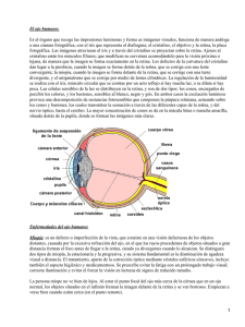 El ojo humano:
