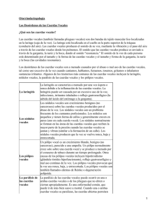 Otorrinolaringología Los Desórdenes de las Cuerdas Vocales ¿Qué son las cuerdas vocales?