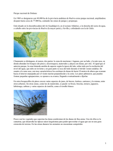 Parque nacional de Doñana: