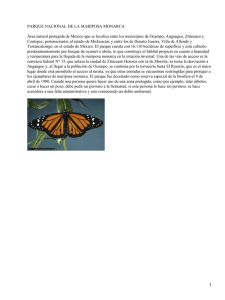 Parque Nacional de la mariposa monarca