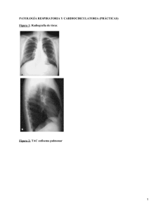 Patología respiratoria y cardiocirculatoria