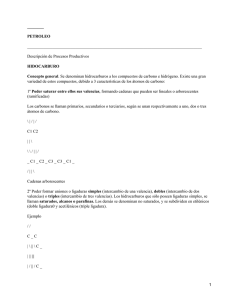 ________ PETROLEO ____________________________________________________________________________________ Descripción de Procesos Productivos